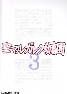 (C79) [Algolagnia (Mikoshiro Nagitoh)] St. Margareta Youchikuen 3 [Chinese] [final個人漢化] - page 2