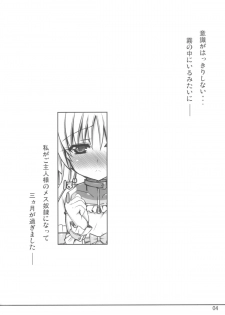 [Shiwodou. (Shiwo.)] 90 Days Later Ver1.00 (Magical Girl Lyrical Nanoha) [2013-05-11] - page 4
