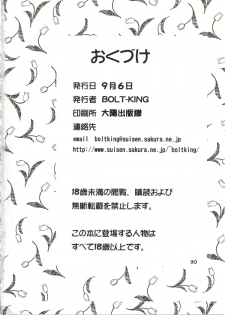 (C64) [BoLT-KING (Kanetaka Souichi, MU.)] Nadja OOO Lesson (Ashita no Nadja) - page 29