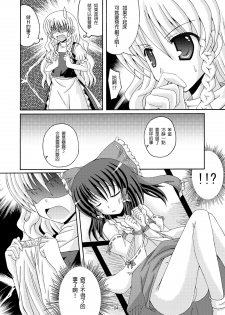 (COMIC1☆4) [DreamProject (Yumeno Shiya)] Touhou Yumemonogatari San (Touhou Project) [Chinese] [CE家族社] - page 4