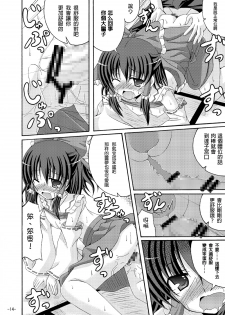 (COMIC1☆4) [DreamProject (Yumeno Shiya)] Touhou Yumemonogatari San (Touhou Project) [Chinese] [CE家族社] - page 14