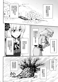 (Reitaisai 12) [PROTMIND (Tatsumiya Motokazu)] Kanashimi no Kisetsu (Touhou Project) [Chinese] [脸肿汉化组] - page 4