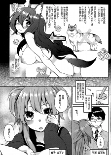 [Majoccoid] Ookami-san no Ooshigoto - page 3