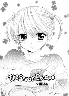 [Ozaki Miray] The Great Escape 4 Ch. 30-31 [English] {SaHa} - page 5