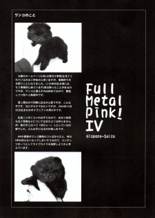 [Hispano-Suiza (Oofuji Reiichirou)] Full Metal Pink! IV (Full Metal Panic!) - page 36