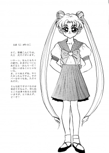 [Getsumen Chakuriku (Kuou Shiki, Miisaka)] Lunatic Libido (Bishoujo Senshi Sailor Moon) - page 3