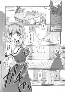 (C85) [Reverse Noise (Yamu)] Loose Strings (Touhou Project) [Chinese] [朔夜汉化] - page 5