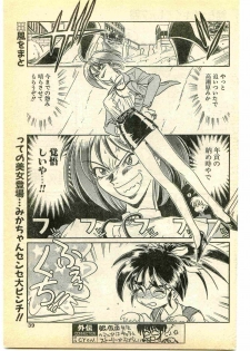 COMIC Papipo Gaiden 1995-05 - page 39