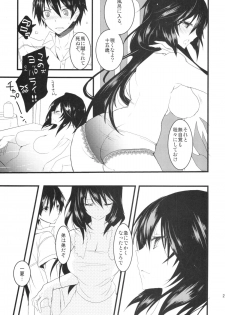 (COMIC1☆6) [Otona Shuppan (Hitsuji Takako)] Infinite ☆ Seicross 3 (IS <Infinite Stratos>) - page 21