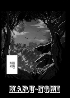 (C88) [Cyclone (Izumi, Reizei)] Rakugaki Chooo MARUNOMI (Mahou Shoujo Lyrical Nanoha) [Chinese] [魔法猪汉化] - page 3