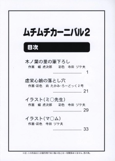 (C72) [Muchi Muchi 7 (Terada Tsugeo, Sanagi Torajirou)] Muchi Muchi Carnival 2 (Naruto) [Chinese] [SENSE汉化小队] [Incomplete] - page 2