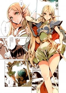 (C88) [70 Nenshiki Yuukyuu Kikan (Ohagi-san)] Elves (Record of Lodoss War) [Chinese] [脸肿汉化组] - page 8