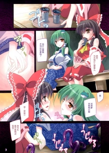 (C88) [Reverse Noise (Yamu)] Hakurei Breeder ~Kazehouri~ (Touhou Project) [Chinese] [脸肿汉化组] - page 4