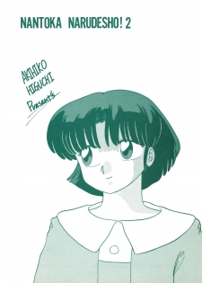 (C39) [Studio Zonzai (Higuchi Akihiko)] NANTOKA NARUDESHO! 2 (Ranma 1/2) - page 44