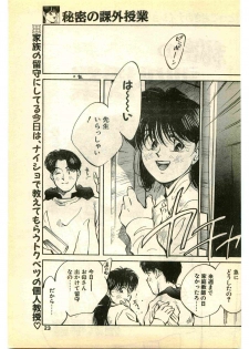 COMIC Papipo Gaiden 1995-01 - page 23