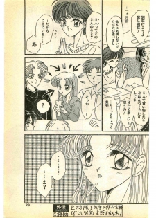 COMIC Papipo Gaiden 1995-03 - page 29
