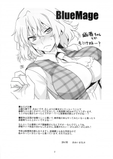 (Reitaisai 11) [BlueMage (Aoi Manabu)] Yuuka 13 (Touhou Project) [Chinese] [黑条汉化] - page 3