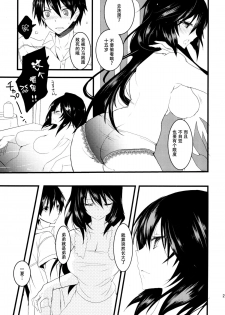 (COMIC1☆6) [Otona Shuppan (Hitsuji Takako)] Infinite ☆ Seicross 3 (IS <Infinite Stratos>) [Chinese] [脸肿汉化组] - page 22