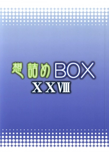 (C86) [Omodume (Kushikatsu Koumei)] Omodume BOX XXVIII (Sword Art Online) [English] {doujin-moe.us} - page 25