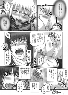 (C71) [Nozarashi (Nozarashi Satoru)] Gyakushuu no Kyouhime-sama - page 13