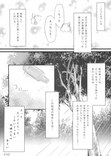 (C86) [AQUA:VER (Pirason)] Nekonde Shimatta Kenage na Imouto ni Ore wa (Onigokko!) - page 19