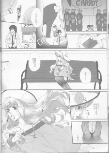 (SUPER21) [mixed breed (Chane)] desire to monopolize (Macross Frontier) - page 20
