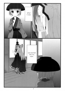 (C87) [Hanasameyashiro (hisame*, Hanao)] Little Happiness! (Touhou Project) [English] [Yuri-ism] - page 4