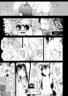 (C88) [IRIOMOTE (Saryuu)] KEMO PHILIA - page 4