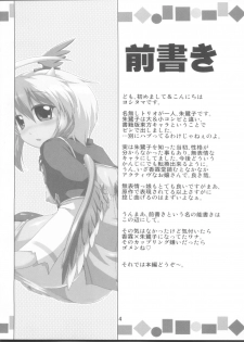 (Reitaisai 8) [CUNICULUS (Yositama)] Namonaki Ai no Uta Nanashi Honyomi Youkai Hen (Touhou Project) - page 4