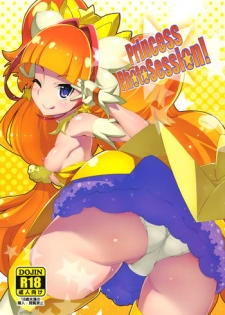 (COMIC1☆9) [Miyanchi (Miyagoe Yoshitsuki)] Princess Photo Session! (Go! Princess PreCure)