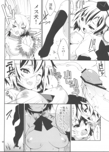 (Reitaisai 10) [SUZUNA JCT (Matsuyuki Kabun)] Kemono no Yume Dream of the beast (Touhou Project) - page 13