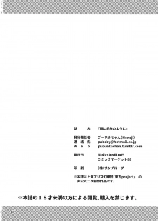 (C88) [Honoji (Puuakachan)] Ame wa Moufu no You ni (Touhou Project) - page 41