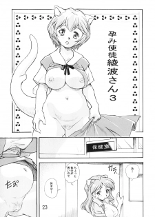 (COMIC1☆7) [Studio Parfe (Dohi Kensuke)] Harami Shito Ayanami-san Soushuuhen (Neon Genesis Evangelion) - page 22