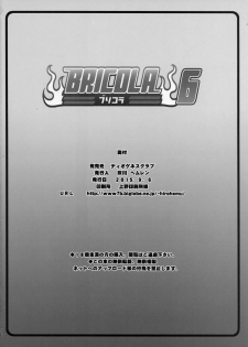 (CT26) [Diogenes Club (Haikawa Hemlen)] BRICOLA 6 (Bleach) - page 17