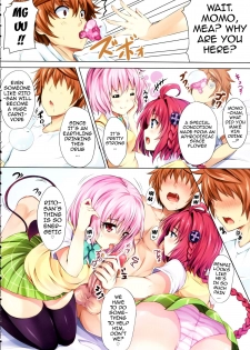 (C83) [SOTIKOTI (soramoti)] To LoVe-Ru Party (To LOVE-Ru) [English] [doujin-moe.us] - page 3