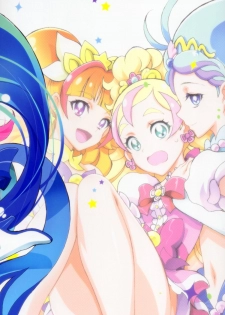 (C88) [Project Harakiri (Kaishaku)] Go! Princess Teletraan 1 (Go! Princess PreCure) - page 2