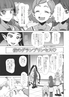 (C88) [Gerupin (Minazuki Juuzou)] Yoru no Gran Princess (Go! Princess PreCure) - page 2