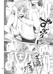 (C88) [Gerupin (Minazuki Juuzou)] Yoru no Gran Princess (Go! Princess PreCure) - page 23