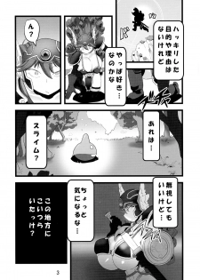 (C88) [Tsurimura (Histamine C)] QUEST OF BOOTY (Dragon Quest III) - page 5