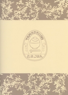 (C87) [Tamagohan (Saitou Miya)] Shoukaku Zuikaku no Gohoushi Maintenance (Kantai Collection -KanColle-) - page 26