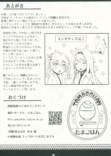 (C87) [Tamagohan (Saitou Miya)] Shoukaku Zuikaku no Gohoushi Maintenance (Kantai Collection -KanColle-) - page 25