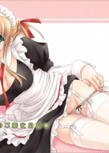 (C70) [SIDE EFFECTS (Saeki Hokuto)] Maid-san no Gohoushi Nikki