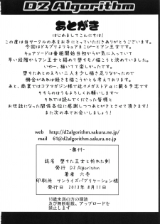 (C84) [D2 Algorithm (Rokuichi)] Ochita Oujo to Oreta Ken (Dokidoki! Precure) - page 25