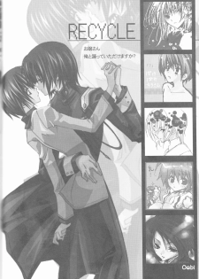 (C68) [RIRIADOLL (Takewakamaru)] MeMories (Kidou Senshi Gundam SEED DESTINY) [Incomplete] - page 20