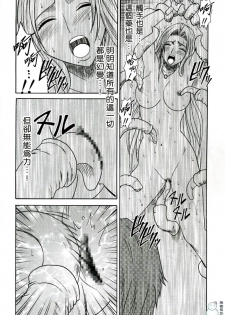 [Crimson Comics (Carmine)] Tairin no Hana (Bleach) [Chinese] [飛雪漢化組] - page 21