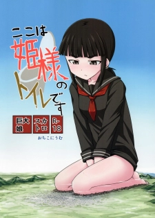 [Ochikonium (Various)] Koko wa Hime-sama no Toile desu [Chinese] [Digital] - page 1