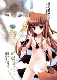 (C72) [Chimaroni? (Chimaro)] Torokeru Kajitsu (Spice and Wolf) - page 4