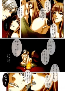 (C74) [Uninigumi (Kakiemon, Ouse Aya, Saji)] Beauty&Beast (Spice and Wolf) - page 4