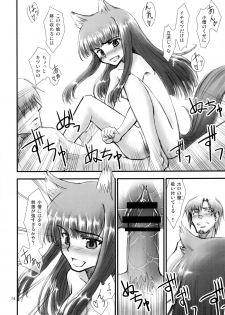 (Mimiket 18) [Wiz's Studio (Tooyama Hirohito)] Ookami no Amai Mitsu (Spice and Wolf) - page 14