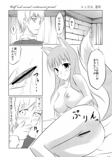 (COMIC1☆2) [Cream Cider, Taigaykuten-gou, Delusion (Karasuma Renya, L-S, Vancho)] Ookami to Ringo no Hachimitsuzuke (Spice and Wolf) - page 5